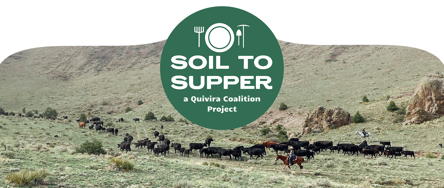 Soil to Supper Website banner
