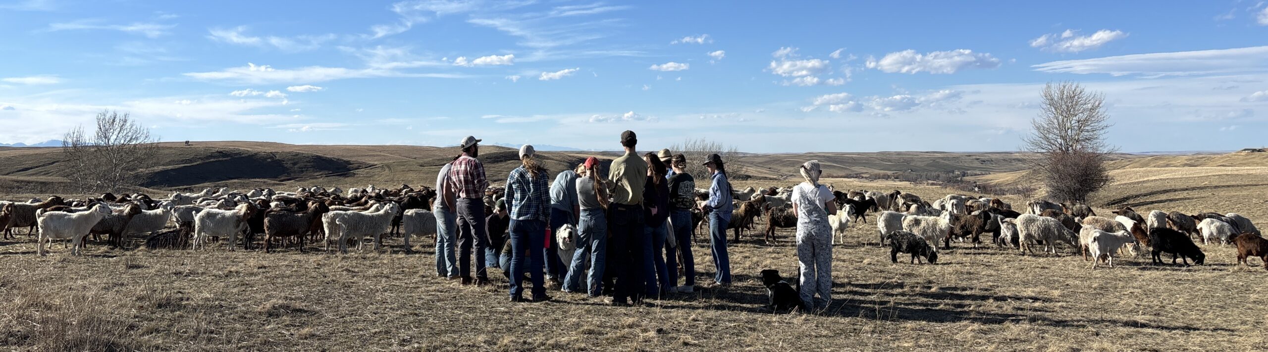 ranch planning
